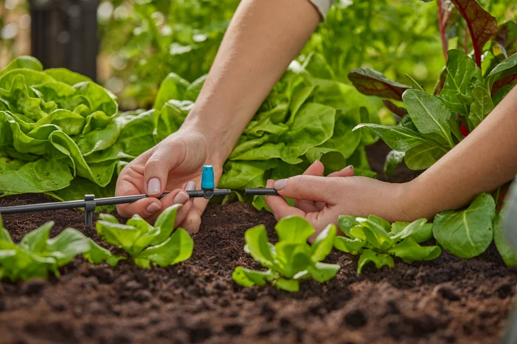 Asperseur en ligne pour petites surfaces - GARDENA - 13316-26