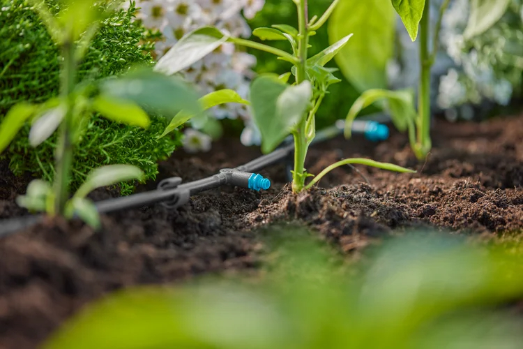 Goutteur en ligne auto-régulant 2 l/h - GARDENA - 13317-26