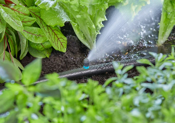 Micro-asperseur d'extrémité de plate-bande - GARDENA - 13318-20