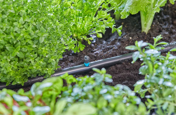 Micro-asperseur plate-bande - GARDENA - 13319-20