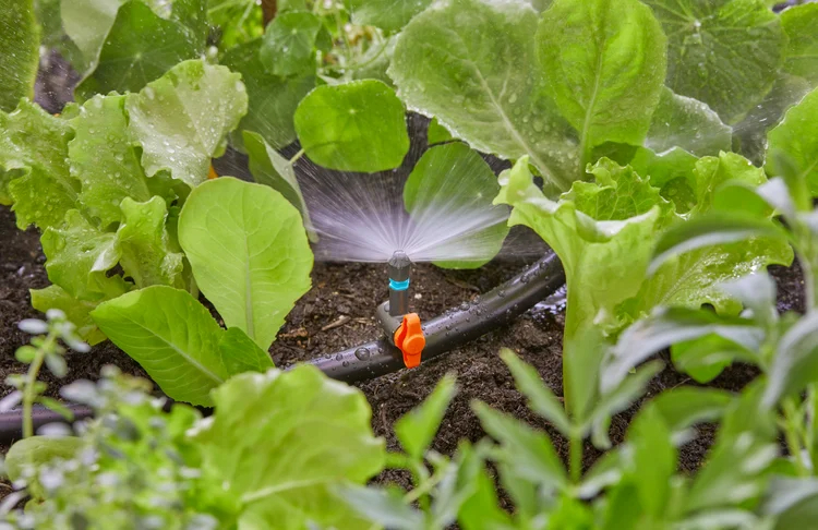 Micro-asperseur 180° - GARDENA - 13321-20