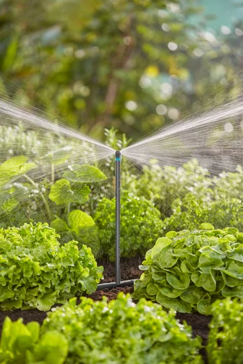 Tube prolongateur pour micro-asperseur - GARDENA - 13326-20