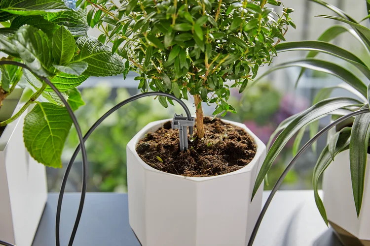 Arrosage automatique de vacances avec réserve d'eau - GARDENA - 13366-20