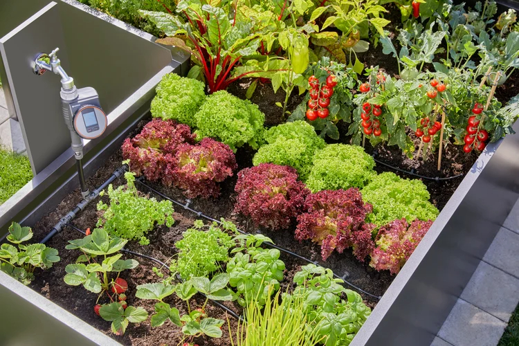 Kit d'initiation pour rangées de plantes - jusqu'à 35 plantes - GARDENA - 13455-32