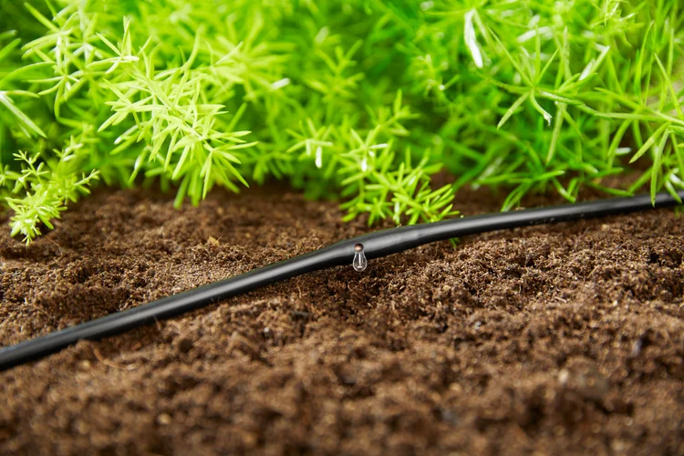 Extension de tuyau à goutteurs intégrés de surface 4,6 mm (3/16