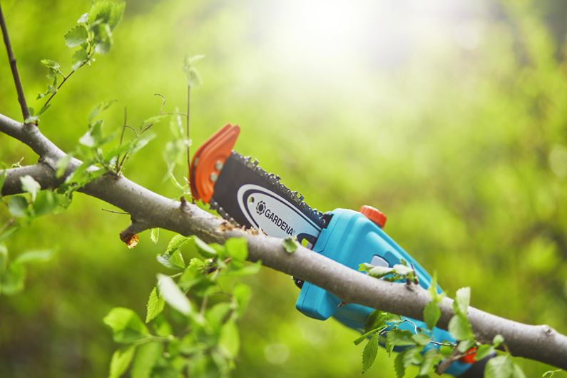 Elagueuse sur perche Gardena TCS 20/18V P4A avec batterie - 1477020