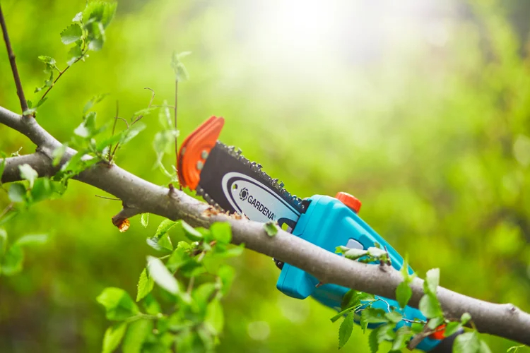 Elagueuse sur perche TCS 20/18V P4A sans batterie - GARDENA - 14770-55