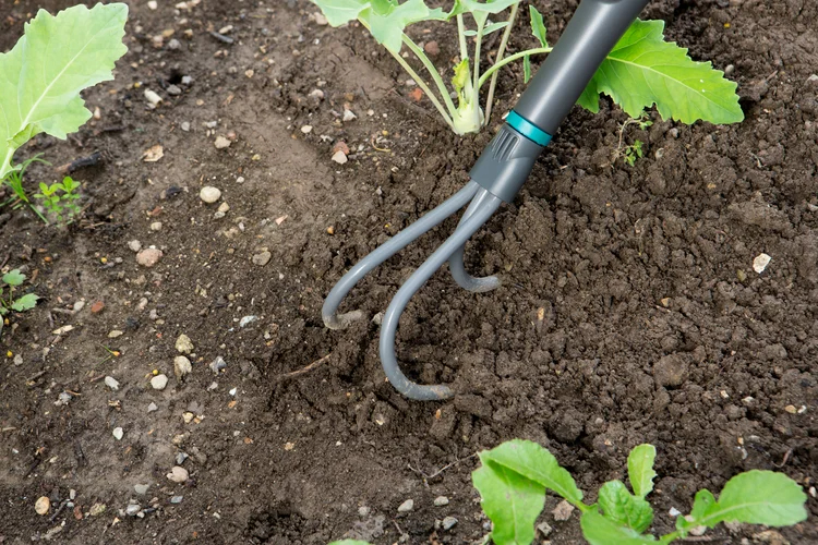Griffe piocheuse NatureLine - FSC 100% - GARDENA - 17108-20