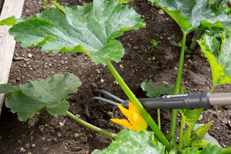 Griffe piocheuse NatureLine - FSC® 100% - GARDENA - 17108-20