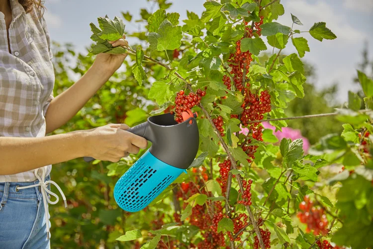 Cueille-baies combisystem - GARDENA - 17400-20