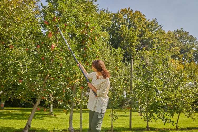 Crochet à branches combisystem - GARDENA - 17401-20