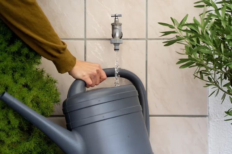 Nez de robinet 33,3 mm (G 1