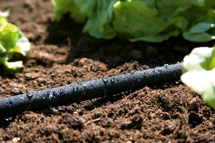 Tuyau micro-poreux 25 m pour l’arrosage goutte à goutte du jardin - GARDENA - 1966-26