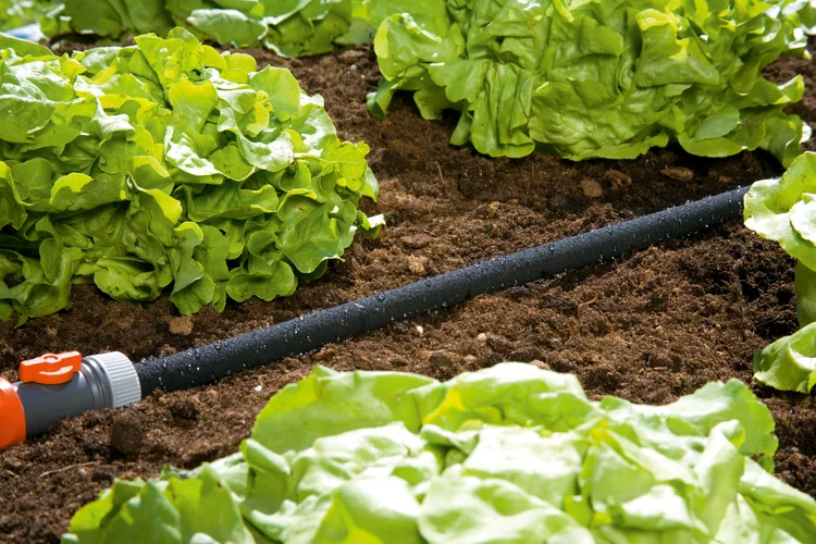 Tuyau micro-poreux 25 m pour l’arrosage goutte à goutte du jardin - GARDENA - 1966-26