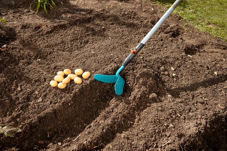 Butteur-rayonneur Combisystem - GARDENA - 3118-20