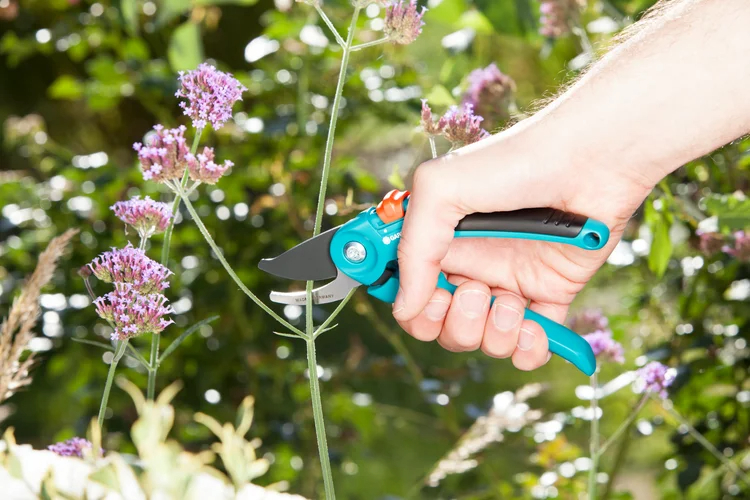 Sécateur à lame franche Classic B/S - GARDENA - 8854-20