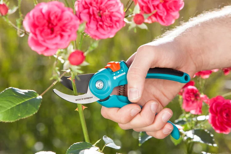Sécateur réglable à lame franche Classic B/S-M - GARDENA - 8857-20