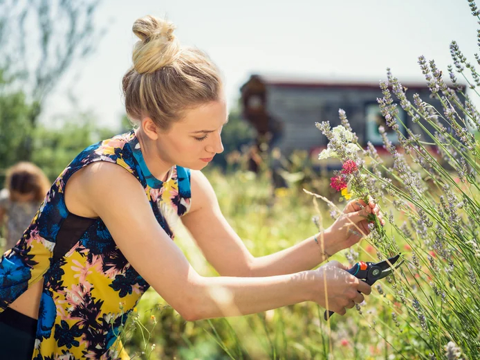 Sécateur à lame franche Comfort B/M - GARDENA - 8904-20