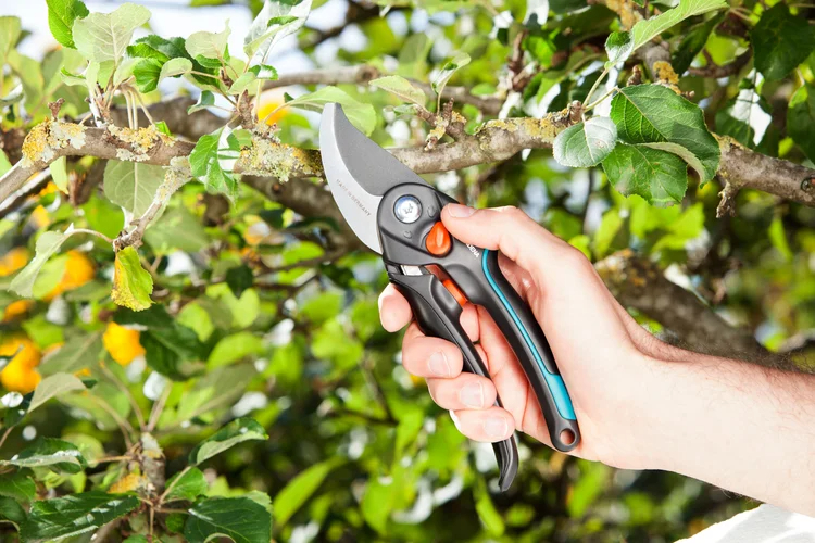 Sécateur ajustable à lame franche Comfort B/ S-XL - GARDENA - 8905-20