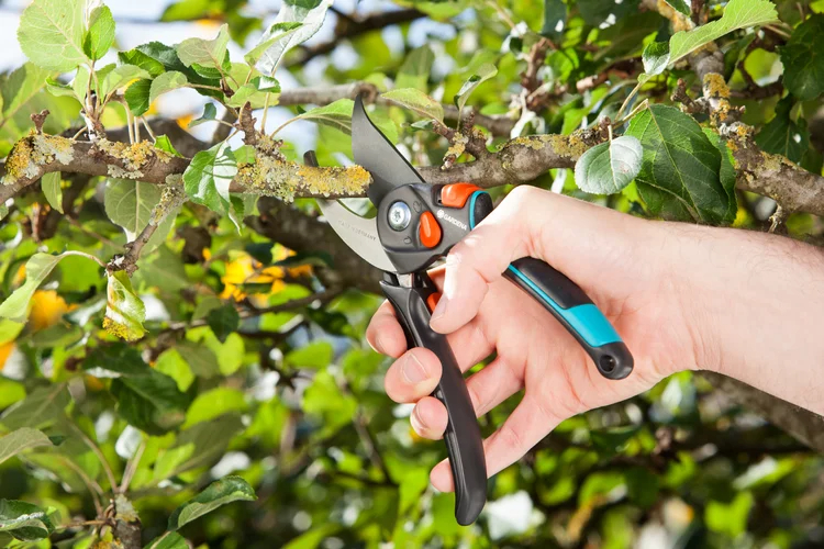 Sécateur ajustable à lame franche Comfort B/ S-XL - GARDENA - 8905-20