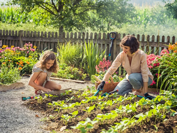 Transplantoir combisystem - GARDENA - 8929-20