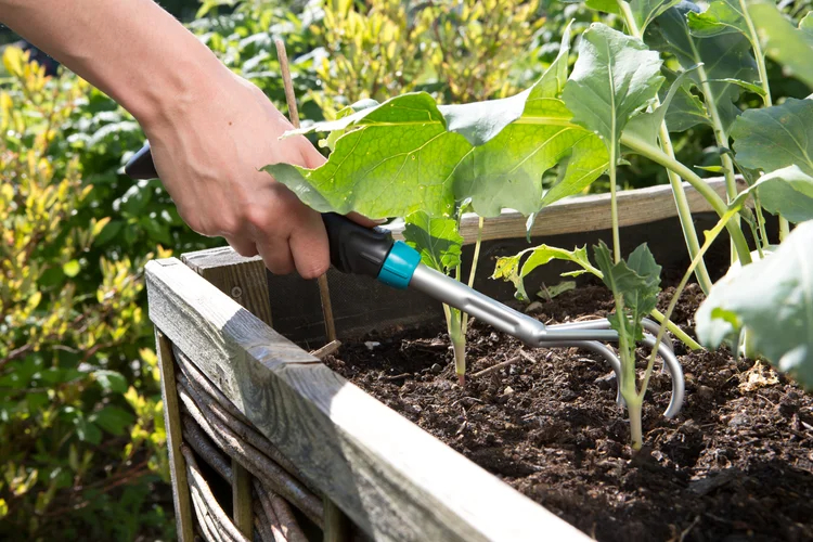 Griffe piocheuse - GARDENA - 8957-20