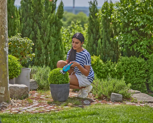 Kit cisaille à gazon ClassicCut Li + manche télescopique et roues - GARDENA - 9886-20