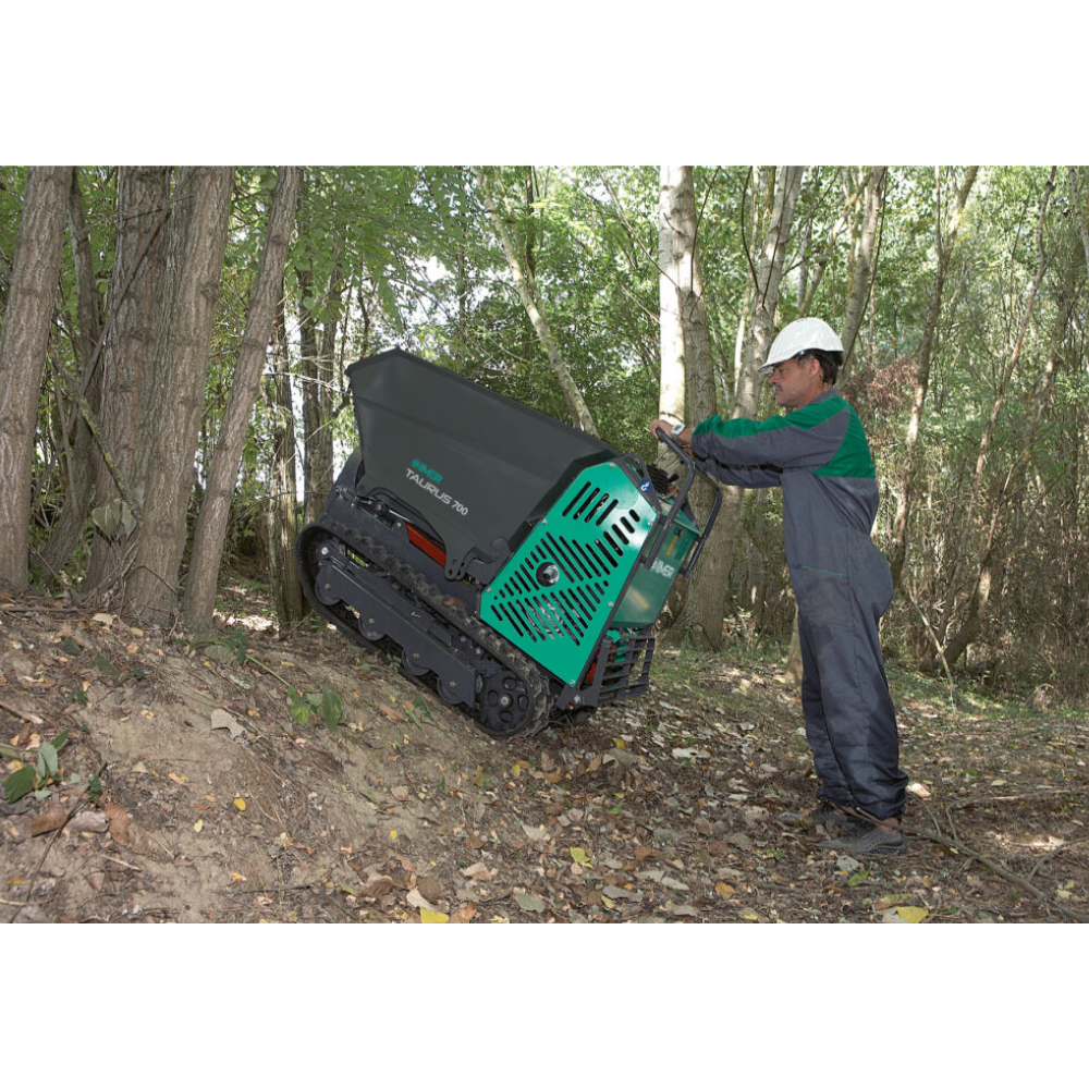 Mini-transporteur TAURUS 700 C-B8AE essence benne - IMER - 1108062