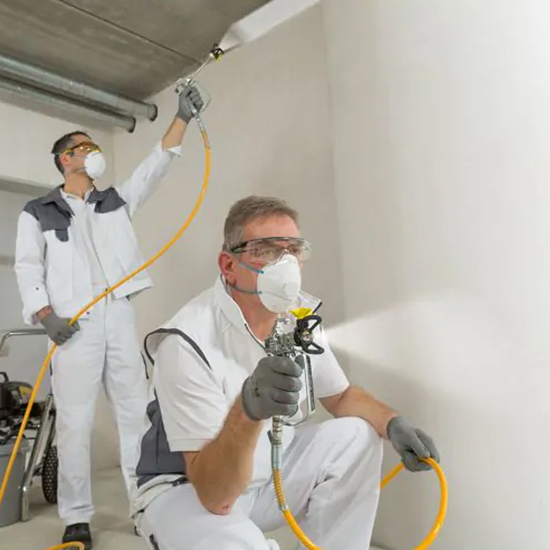 Pompe à piston ProSpray 3.39 Émulsion - WAGNER - 2351261