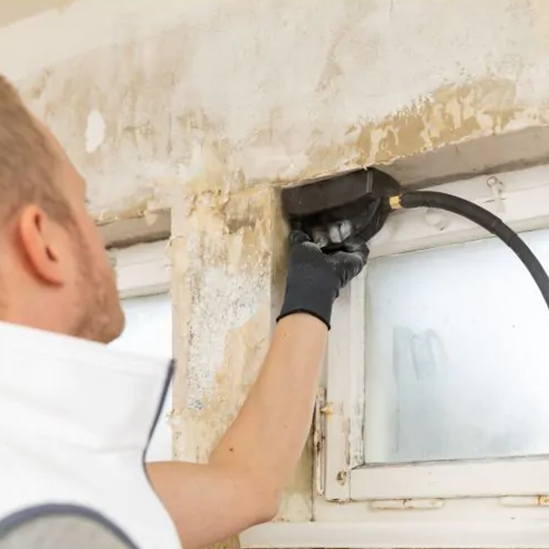 Décolleuse de papier peint à vapeur - SteamForce Speed Pro - WAGNER - 2418213