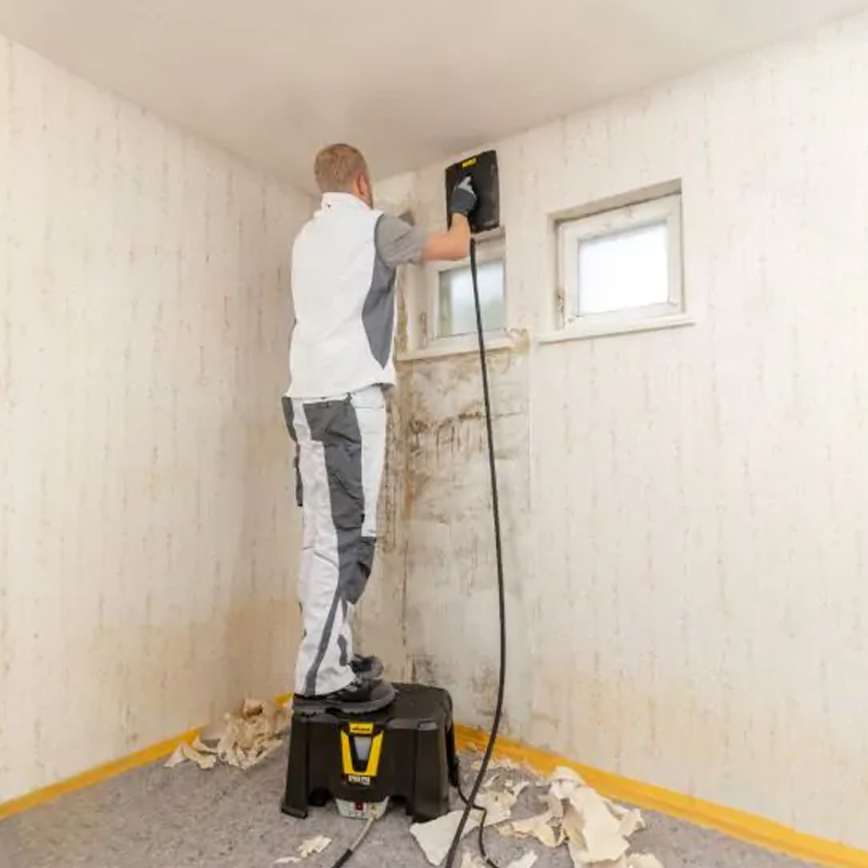 Décolleuse de papier peint à vapeur - SteamForce Speed Pro - WAGNER - 2418213