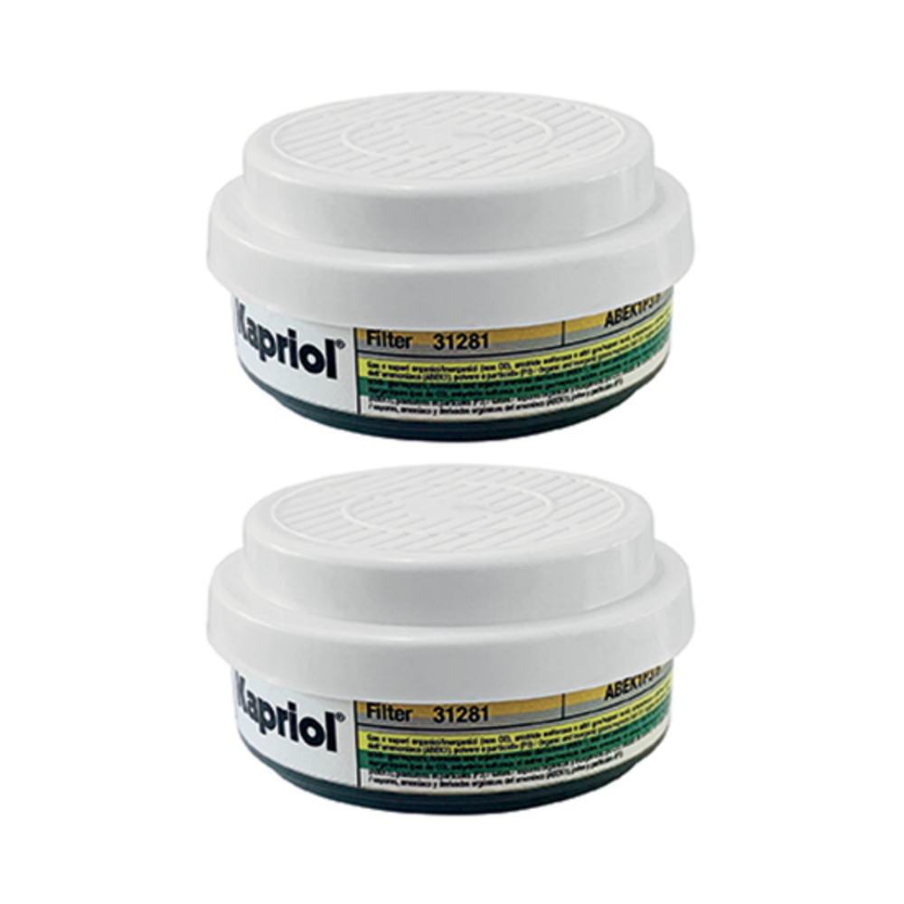 DEMI MASQUE TWIN FLY AVEC FILTRES P3 R - KAPRIOL - 31278