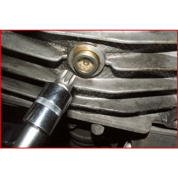 Douille de vidange 1/2