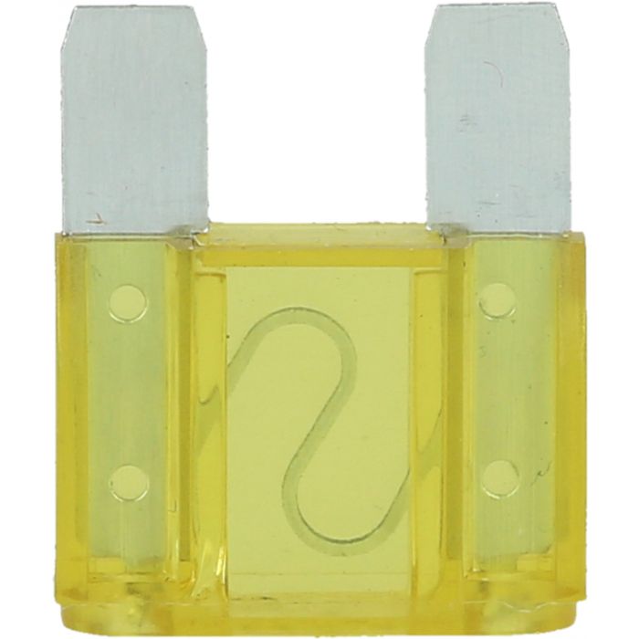 Assortiment de fusibles 20-100A pour PL, 36 pcs KSTOOLS - 9700730