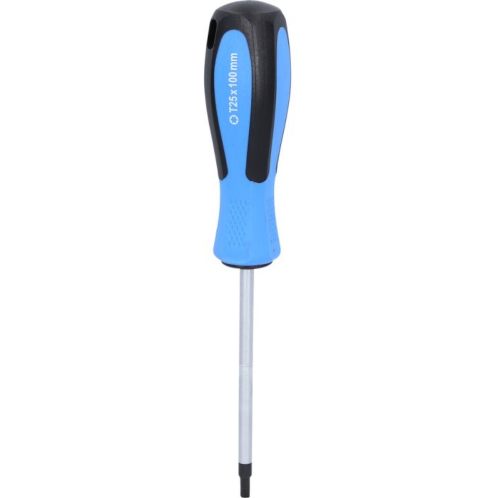 Tournevis TORX T25 - L100mm BRILLIANT TOOLS - KS TOOLS - BT031014