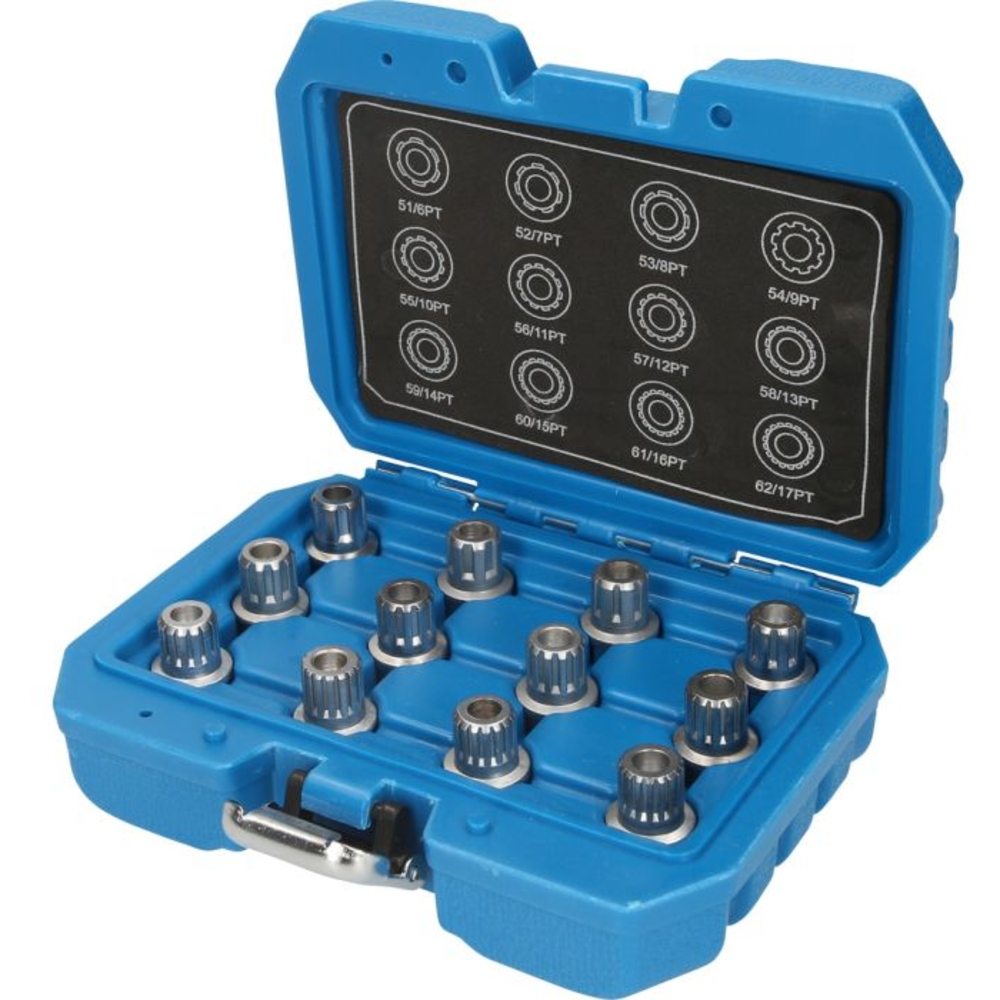Coffret de démontage d'écrous antivols pour VW 12 pcs BRILLIANT TOOLS - KS TOOLS - BT691190