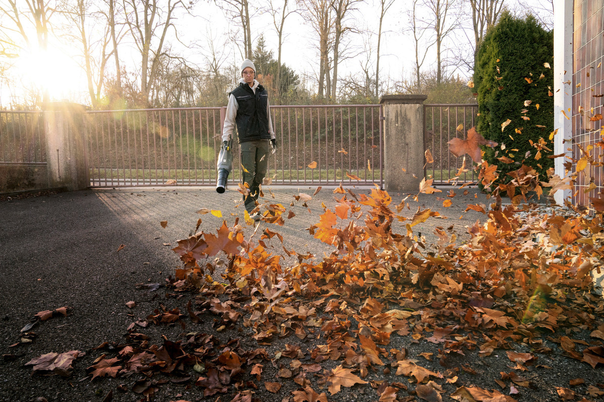 LB 930/36 Bp Pack *EU KÄRCHER - 1.042-508.0