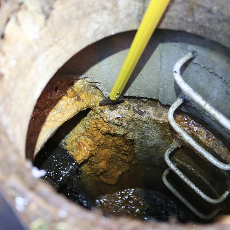 Coupe-débris longue portée 185cm NANOVIB - LEBORGNE - 149119