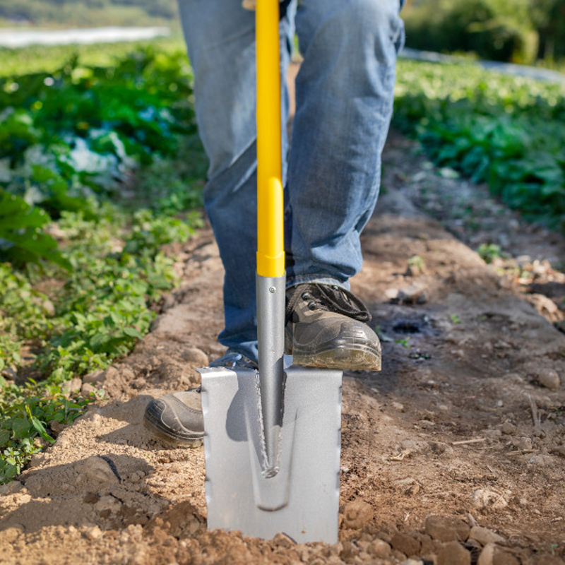 Louchet LEBORGNE senlis poli 28 cm manche Novagrip pomme - 312283