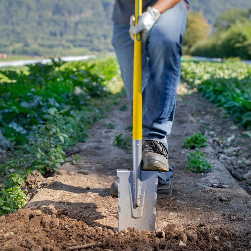 LOUCHET NORD DUOPRO - 28 CM MANCHE BÉQUILLE NOVAMAX LEBORGNE - 319287