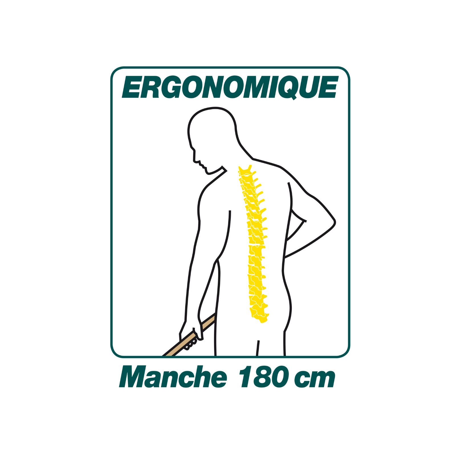 Râteau polymère 60 cm Duopro manche bois 180 cm certifié PEFC 100% LEBORGNE - 369011