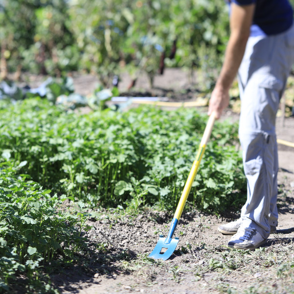 Ratissoire de jardin naturovert LEBORGNE - 467081