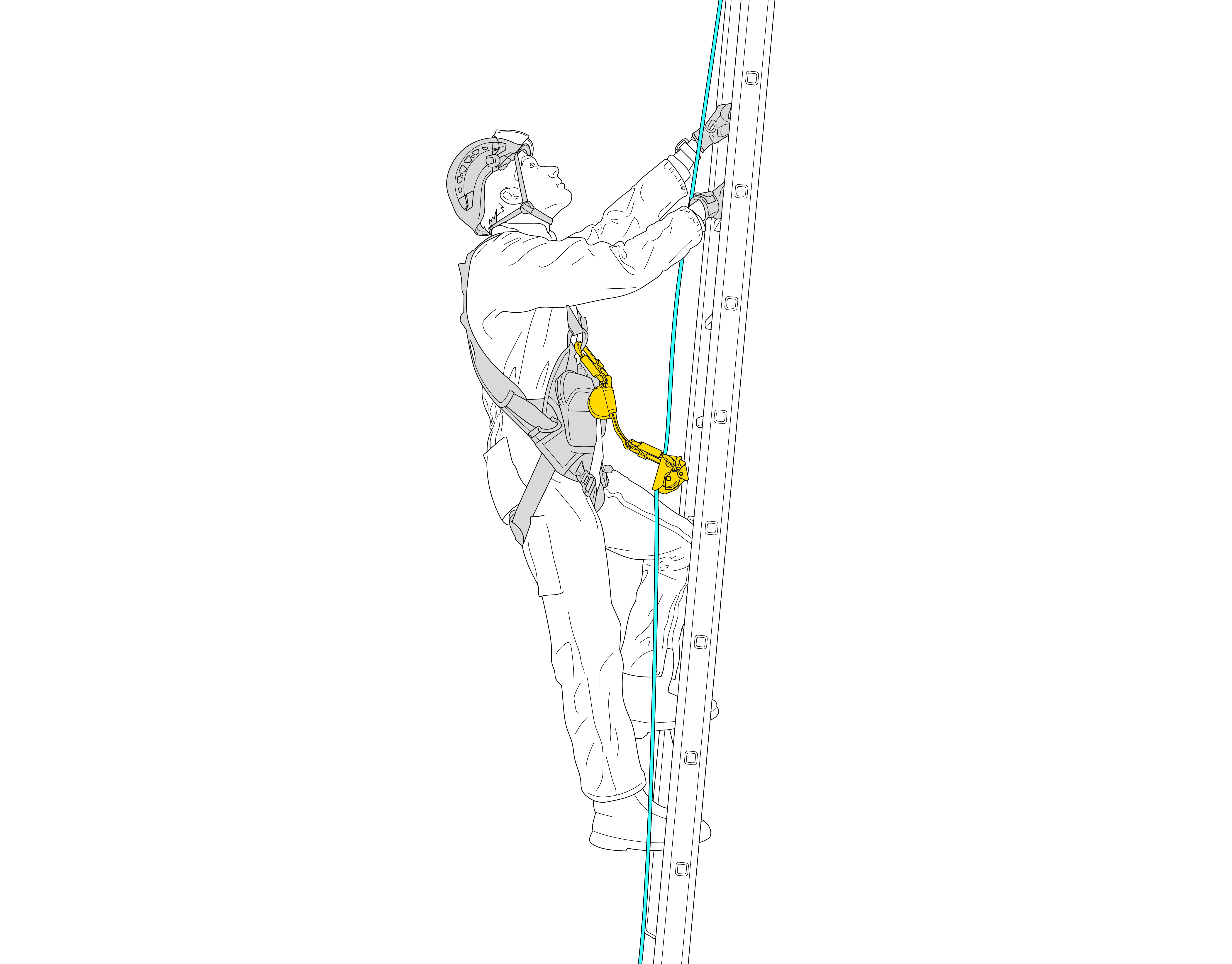 LONGE ASAP'SORBER 20CM PETZL - L071AB00