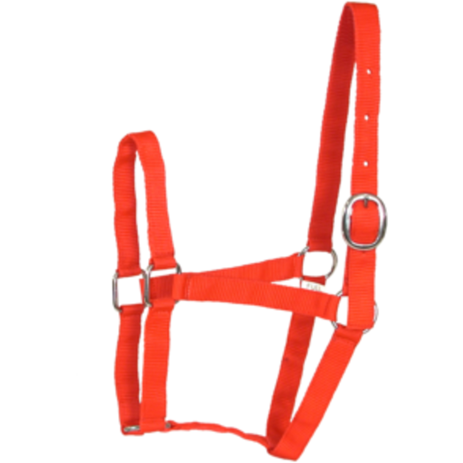 Licol Éco Poney Rouge LACME - 801700