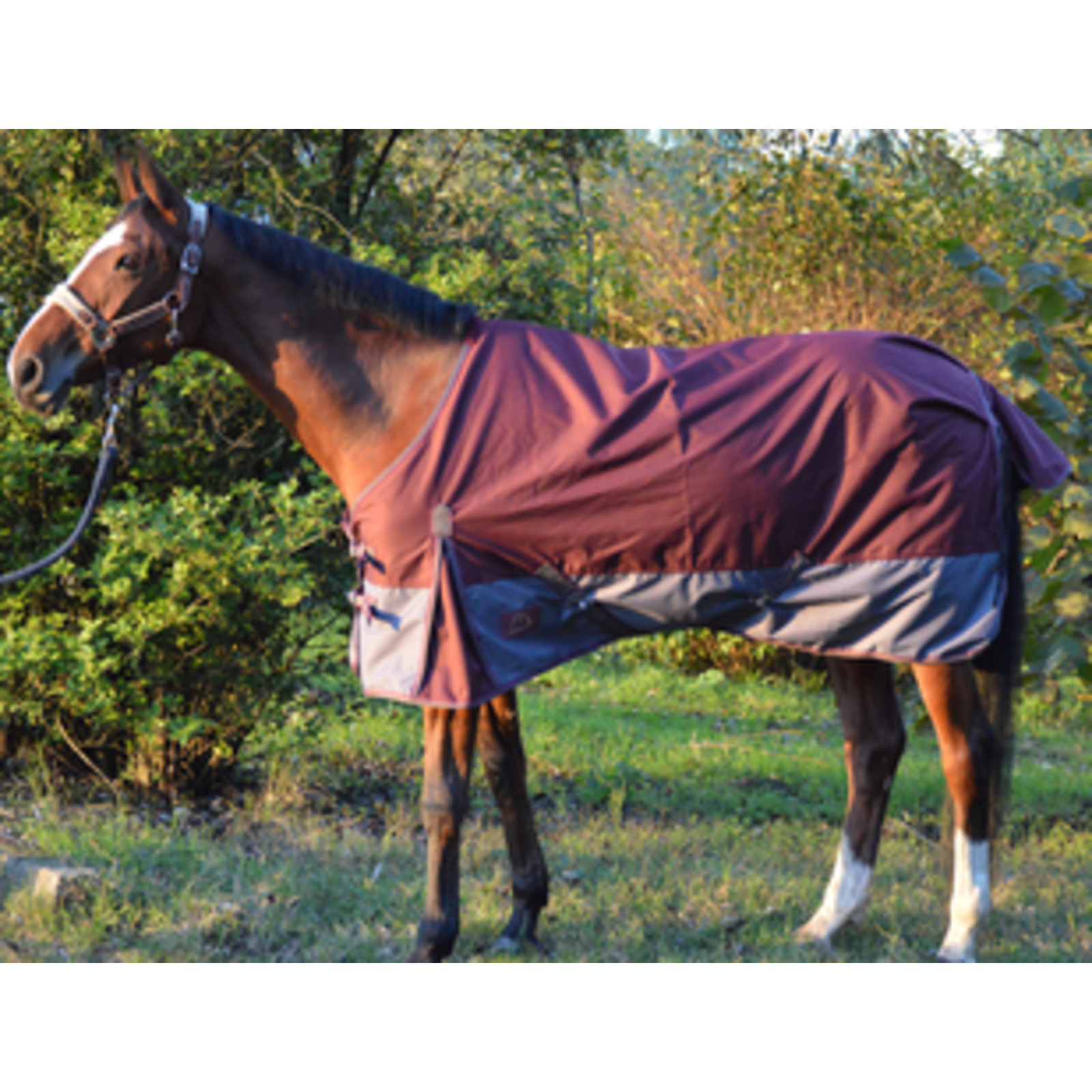 Chemise Imperméable 125 Cm Bordeaux En Sac Zippé LACME - 835601