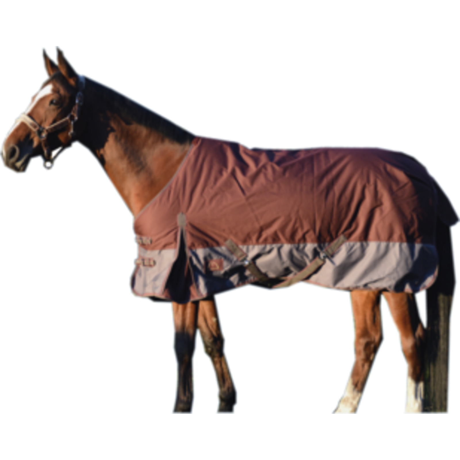 Couverture D'Hiver 135 Cm En Sac Zippé LACME - 836100