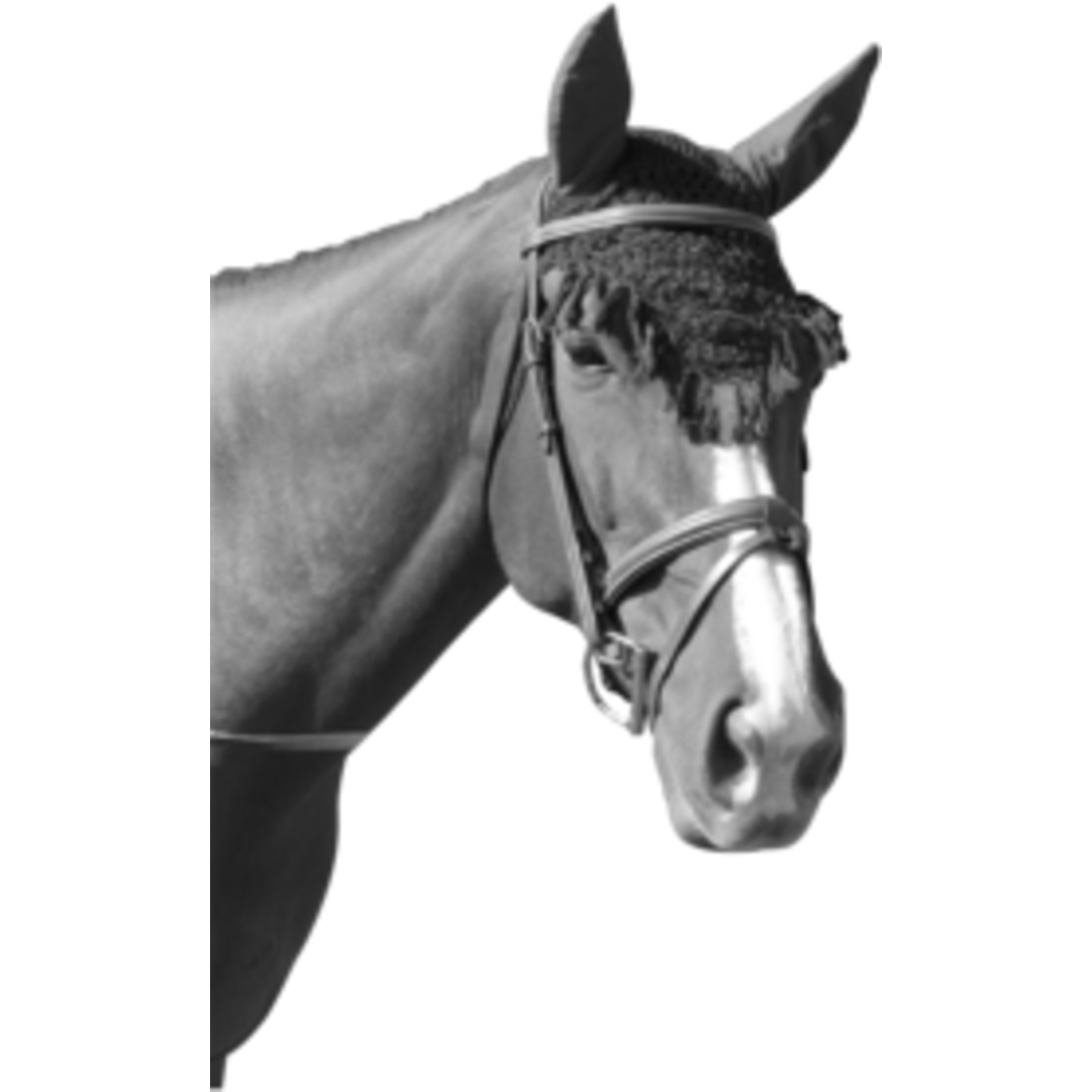 Bonnet Anti-Mouche Taille Unique Noir LACME - 839000