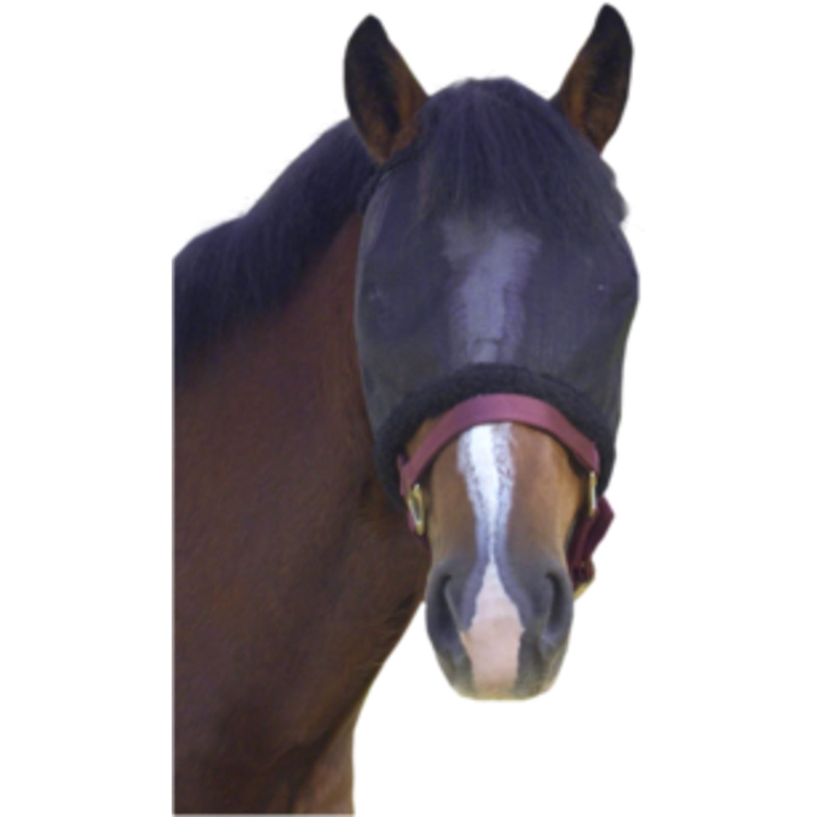 Masque Anti-Mouche Poney, Small LACME - 839200