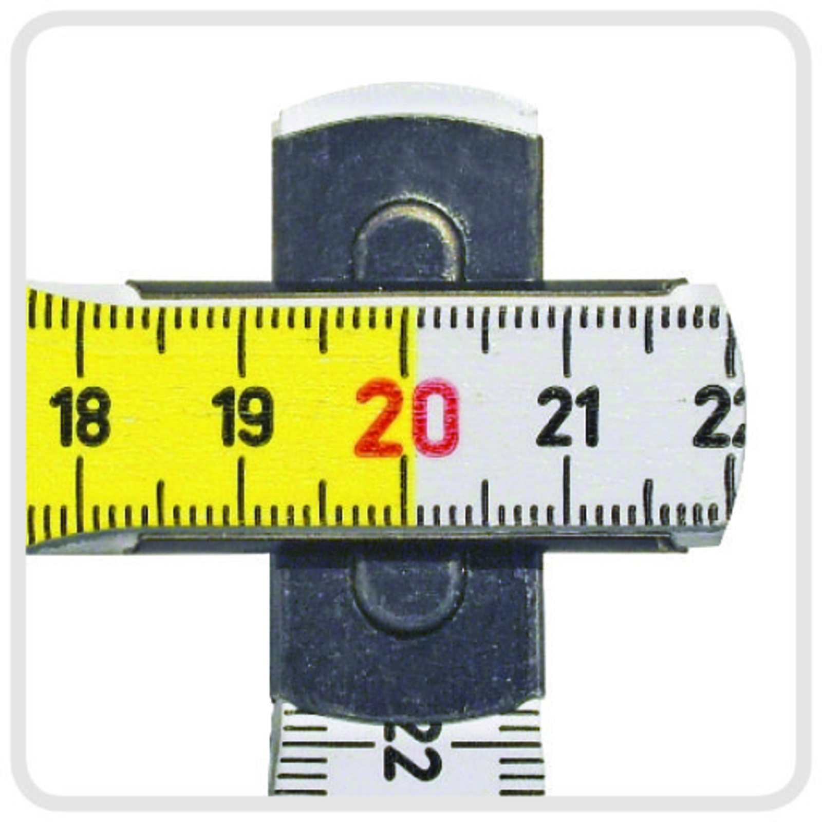 2 Mètres – Bouleau Semi-géant METRICA - 23085H