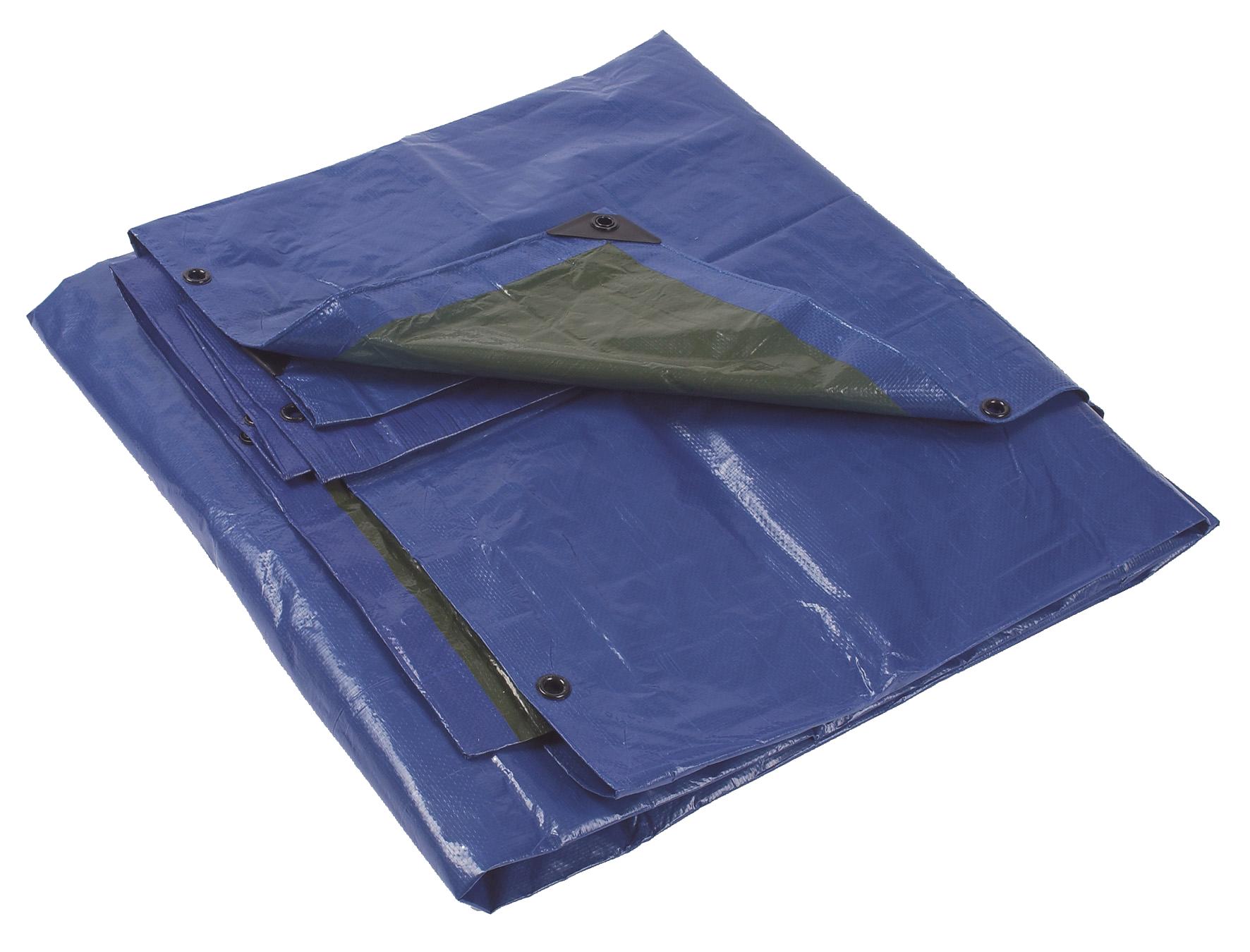 BACHE 5 X 8 M VERT/BLEU MONDELIN - 841250